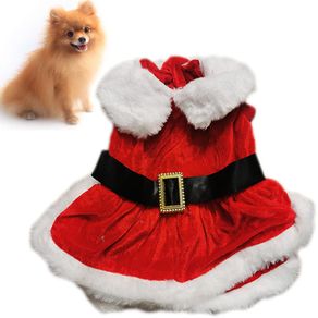Image of Vestitino per animali taglia piccola babbo natale con cintura vestito natalizio - Vestitino per Animali Taglia Piccola Babbo Natale con Cintura Vestito Natalizio