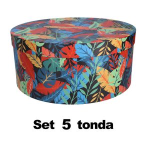 Image of Set 5 Scatole cartone piume multicolor tondo